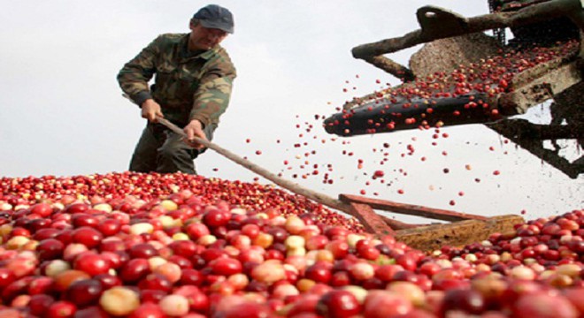 Giá giảm, hàng ế kiểu gì thì doanh nghiệp vẫn có lãi