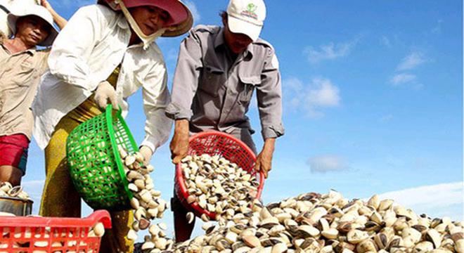 Vì sao nhà băng “chán” doanh nghiệp thủy sản?