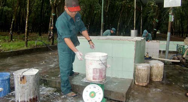 PHR: Giá cao su rớt, quý 2/2014 lãi ròng 43 tỷ đồng giảm mạnh so với cùng kỳ