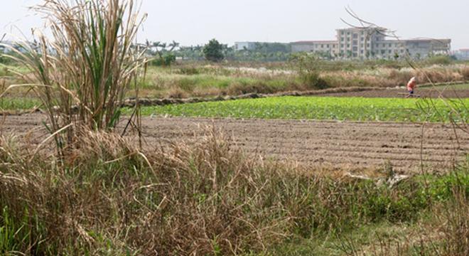 Đốt tiền, chôn chân ở vùng đất mới Mê Linh