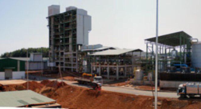 “Tháo chạy” khỏi xăng sinh học?