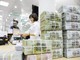 Công ty chứng khoán có hơn 16.600 tỷ gửi ngân hàng: Đau đầu vì "nhiều tiền"