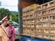 4 tháng, bắt giữ hơn 128 tấn gà nhập lậu