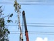 Sự cố đứt đường dây 500KV gây thiệt hại rất lớn