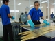 Né cú tát của “gấu vàng”