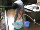 Nghệ An: Hàng trăm hộ dân sống trong ô nhiễm do nằm cạnh các trang trại bò sữa