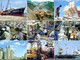 Chỉ đạo, điều hành của Chính phủ, Thủ tướng Chính phủ nổi bật trong tuần