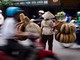 Long An: 6 tháng đầu năm 2013 GDP tăng trưởng 9,7%  