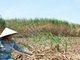 SBT: Điện Gia Lai đăng ký bán 2 triệu cổ phiếu