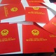 Nhiều người dân Tp.HCM đồng loạt đòi trả “sổ đỏ”!