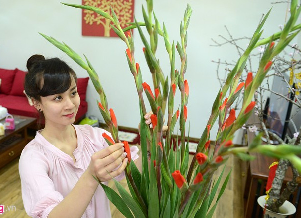 Những loại hoa Tết bạn nên mua để mang lại may mắn, tài lộc cả năm