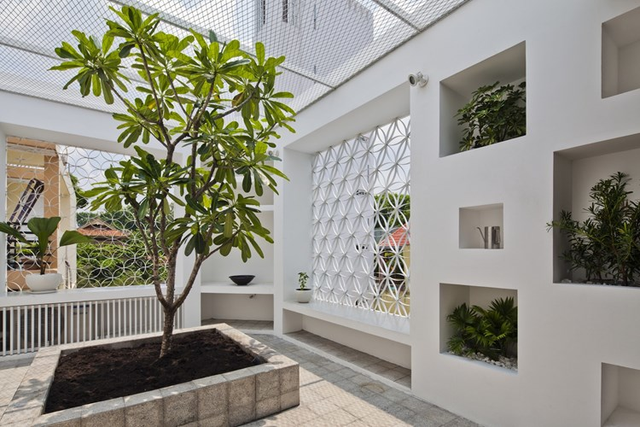 Các không gian trong nhà luôn được tận dụng để trồng cây xanh mang không khí trong lành cho ngôi nhà.