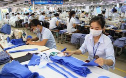Dệt may Việt Nam sẽ tăng gấp đôi thị phần tại các thị trường CPTPP sau năm 2019