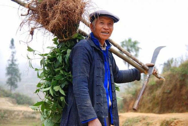 Đây là 6 ngành kinh tế mà Trung Quốc đang dẫn đầu thế giới